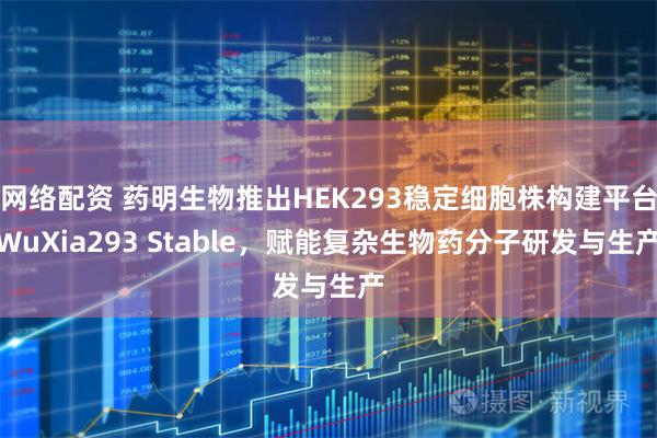 网络配资 药明生物推出HEK293稳定细胞株构建平台WuXia293 Stable，赋能复杂生物药分子研发与生产