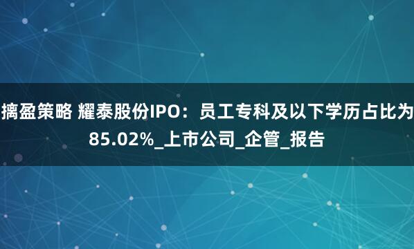 摛盈策略 耀泰股份IPO：员工专科及以下学历占比为85.02%_上市公司_企管_报告